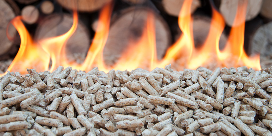 pellet